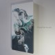 Tortue émergeant des flots - Reproduction HD sur toile - 20 x 40