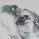 Tortue émergeant des flots - Reproduction HD sur toile - 18 x 36